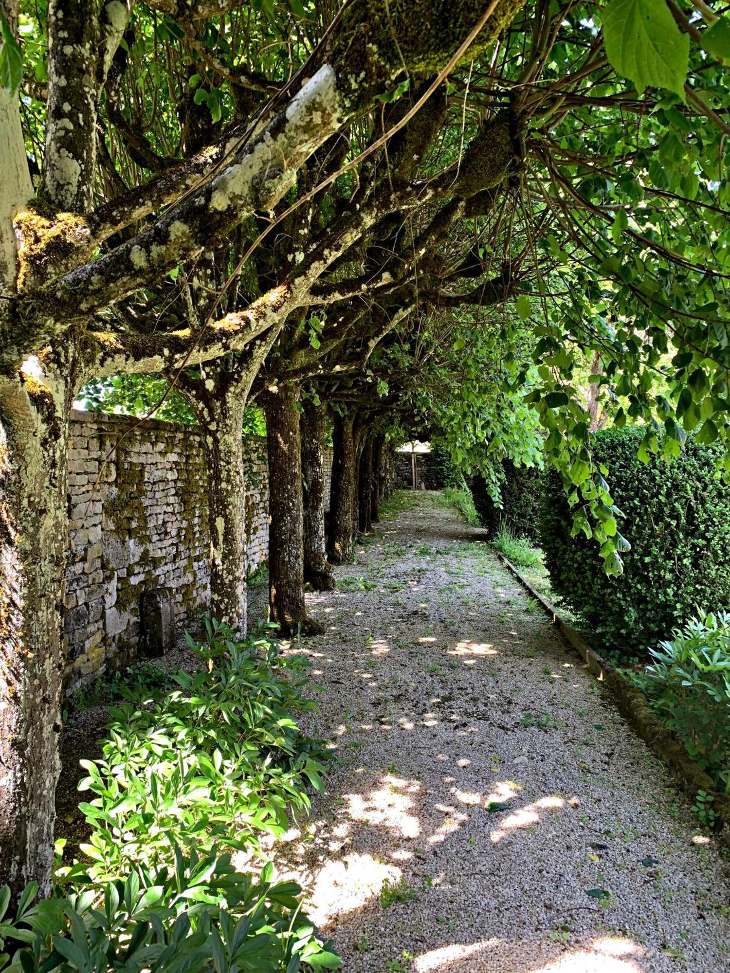 Le Clos Du Marronnier Rivieres-les-Fosses ภายนอก รูปภาพ